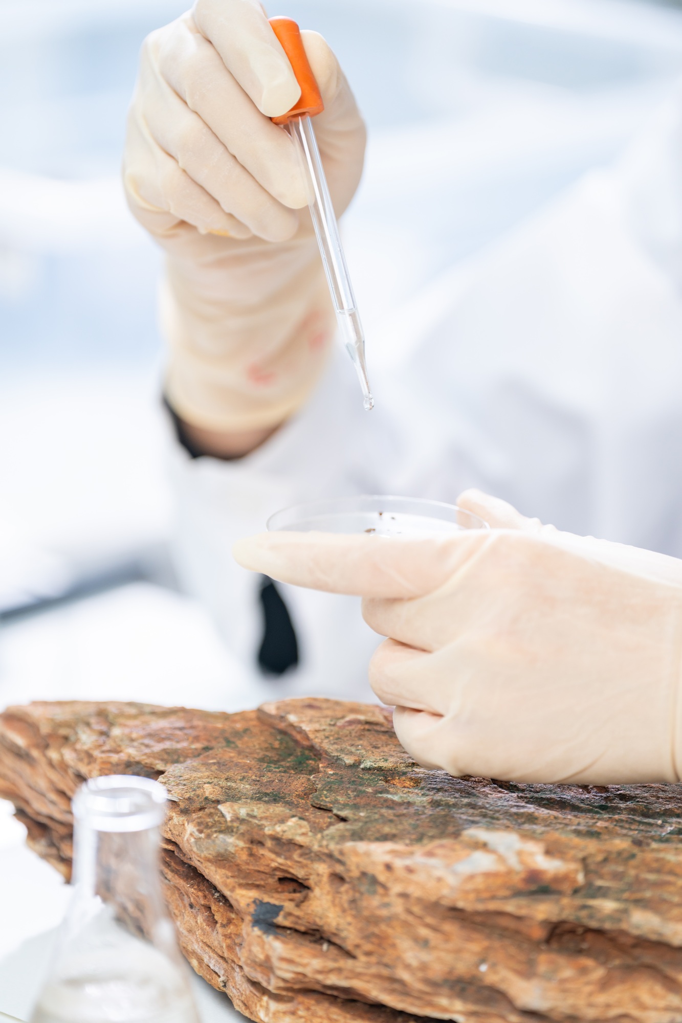 Geology science laboratory research sample test analysis of nature dirtied ground environment